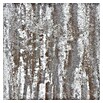 Terrassenplatte Megadrain Tundra (50 x 50 x 4 cm, Hellgrau/Braun, Beton) | BAUHAUS