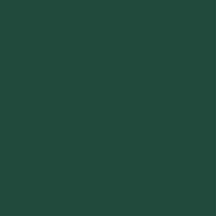 swingcolor Holzschutzfarbe (Moosgrün, 2,5 l, Seidenglänzend)