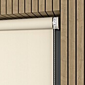 Rollo Elektrisch (B x H: 180 x 190 cm, Tageslichtdurchlässig, Beige, Uni) | BAUHAUS