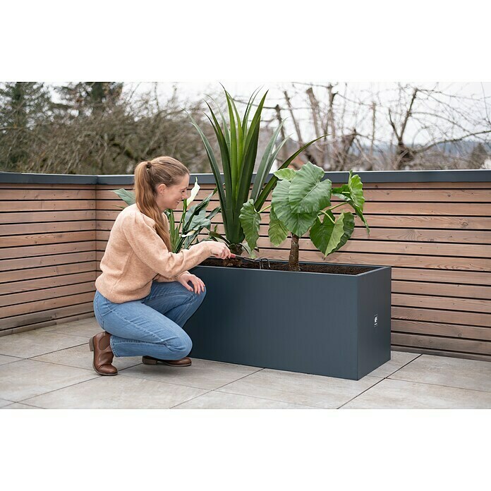 Herstera Garden Pflanzkasten Cube (L x B x H: 150 x 50 x 50 cm, Metall, Anthrazit) | BAUHAUS