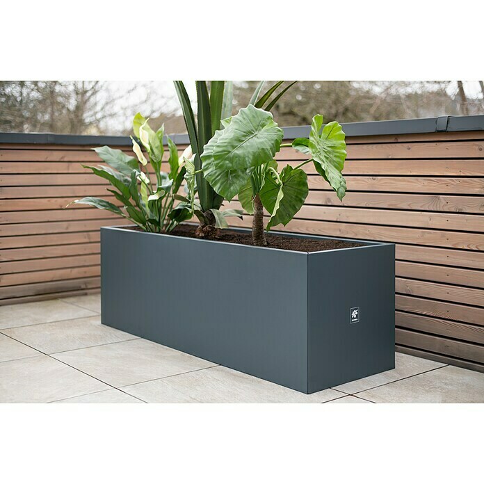 Herstera Garden Pflanzkasten Cube (L x B x H: 150 x 50 x 50 cm, Metall, Anthrazit) | BAUHAUS