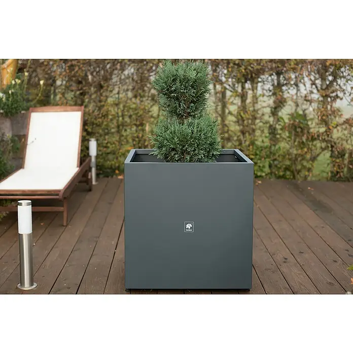 Herstera Garden Pflanzkübel eckig Cube - L x B x H: 70 x 70 x 70 cm - Ein grauer, quadratischer Pflanzkübel von Lechuza mit einer grünen Pflanze darauf, steht auf einer Holzterrasse neben einem Liegestuhl.