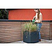 Herstera Garden Pflanzkübel eckig Cube (L x B x H: 50 x 50 x 50 cm) | BAUHAUS