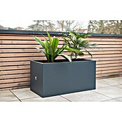 Herstera Garden Pflanzkasten Cube (L x B x H: 100 x 50 x 50 cm, Metall, Anthrazit) | BAUHAUS