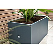 Herstera Garden Pflanzkasten Cube (L x B x H: 100 x 50 x 50 cm, Metall, Anthrazit) | BAUHAUS