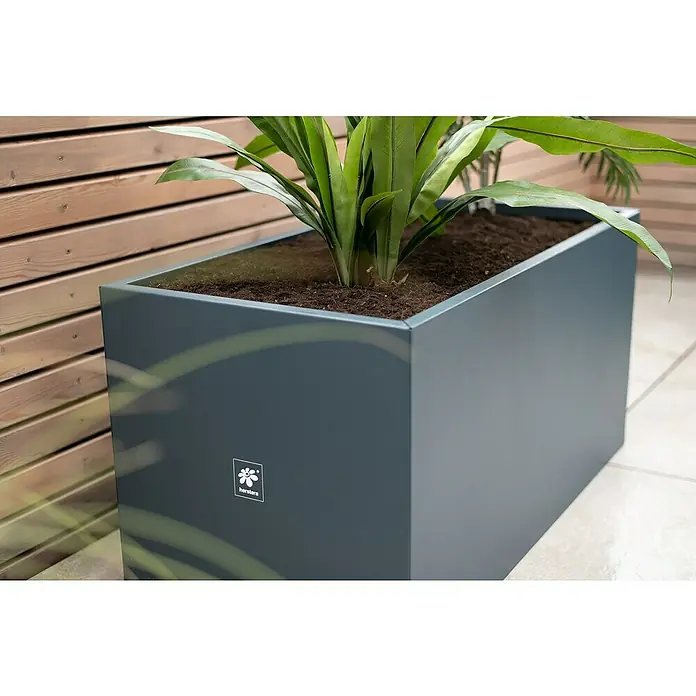 Herstera Garden Pflanzkasten Cube - Außenmaß (L x B x H): 100 x 50 x 50 cm, Metall, Anthrazit - Ein grauer, rechteckiger Pflanzkasten mit einer grünen Pflanze darin steht vor einer Holzwand. Der Pflanzkasten trägt das Logo von Herstera.