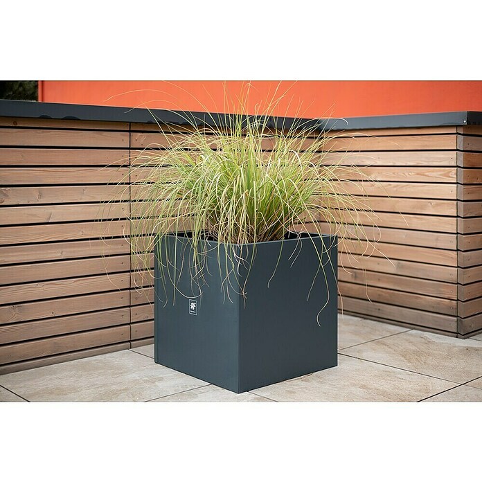 Herstera Garden Pflanzkübel eckig Cube (L x B x H: 50 x 50 x 50 cm) | BAUHAUS