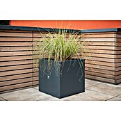 Herstera Garden Pflanzkübel eckig Cube (L x B x H: 50 x 50 x 50 cm) | BAUHAUS