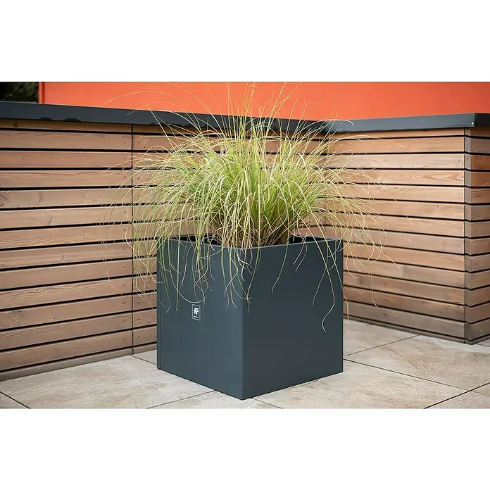 Herstera Garden Pflanzkübel eckig Cube - L x B x H: 50 x 50 x 50 cm - Nahaufnahme eines quadratischen, dunkelgrauen Pflanzgefäßes mit hohem Ziergras vor einer hölzernen Terrassenbegrenzung.