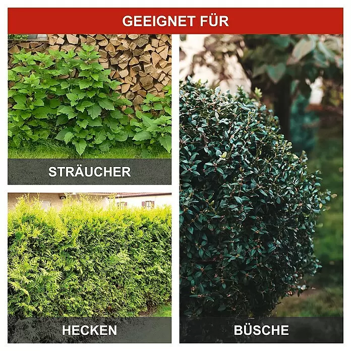 Scheppach Teleskop-Heckenschere ETHT1000 - 1.000 W, Schnittlänge: 41 cm - Produkt geeignet für Sträucher, Hecken und Büsche, dargestellt durch grüne Pflanzen.