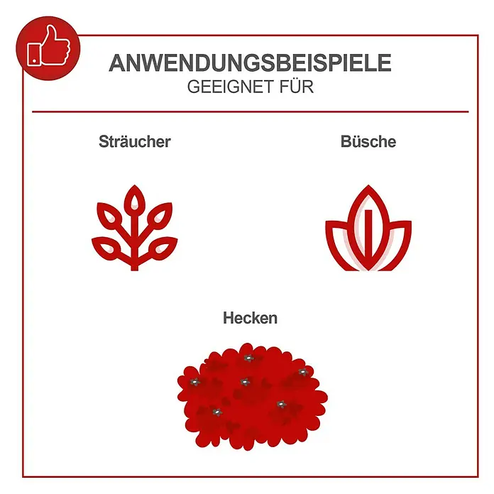 Scheppach Benzin-Heckenschere BHS650 - 0,65 kW, Schnittlänge: 560 mm, Max. Aststärke: 27 mm - Anwendungsbeispiele: Geeignet für Sträucher, Büsche und Hecken. Die Illustration zeigt verschiedene Pflanzenarten.