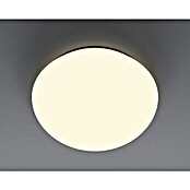 Tween Light Plafón LED con sensor ECO (11,5 W, 26 cm, Blanco cálido)