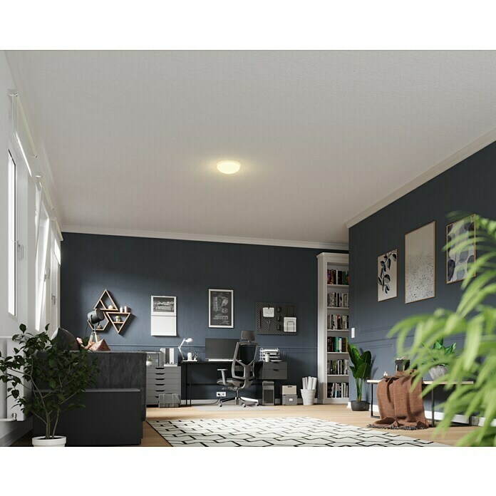 Tween Light LED-Deckenleuchte Eco (11,5 W, Warmweiß, Durchmesser: 26 cm)