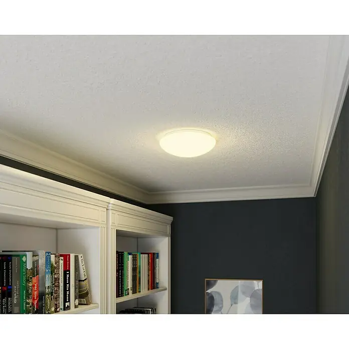 Tween Light LED-Deckenleuchte rund Eco - 11,5 W, Ø x H: 26 x 8,5 cm, Opal/Weiß, Warmweiß - Eine moderne, flache Deckenleuchte in einem stilvollen Raum mit Bücherregal und dunkler Wand.