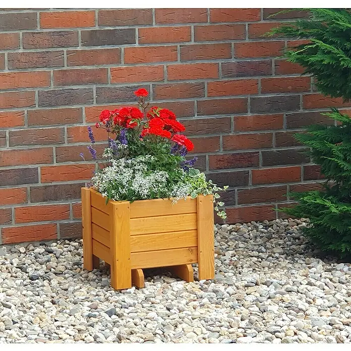 Promadino Pflanzkasten Romantica - Außenmaß (L x B x H): 40 x 38 x 34 cm, Holz, Honigbraun - Holz-Pflanzkasten mit bunten Blumen vor einer Ziegelmauer. Der Pflanzkasten ist aus hellem Holz gefertigt und mit roten Rosen bepflanzt.