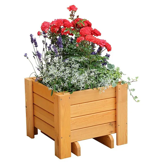 Promadino Pflanzkasten Romantica - Außenmaß (L x B x H): 40 x 38 x 34 cm, Holz, Honigbraun - Holzkübel bepflanzt mit Rosen, Lavendel und weißen Blüten. Der Kübel aus hellem Holz steht auf einem schwarzen Hintergrund.