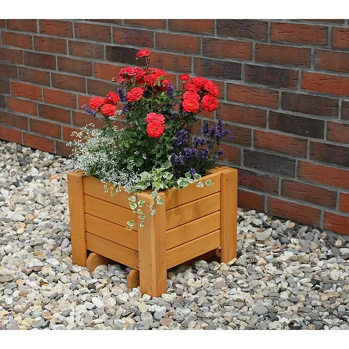 Promadino Pflanzkasten Romantica - Außenmaß (L x B x H): 40 x 38 x 34 cm, Holz, Honigbraun - Der Holzkasten mit roten Rosen, Lavendel und weißem Schleierkraut steht dekorativ vor einer Backsteinmauer auf Kies.