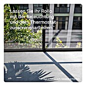 Rollo-Motor MotionBlinds CMD-02 Pull (Passend für: Rollos mit 25 mm Rollowellendurchmesser, Länge: 45 cm) | BAUHAUS