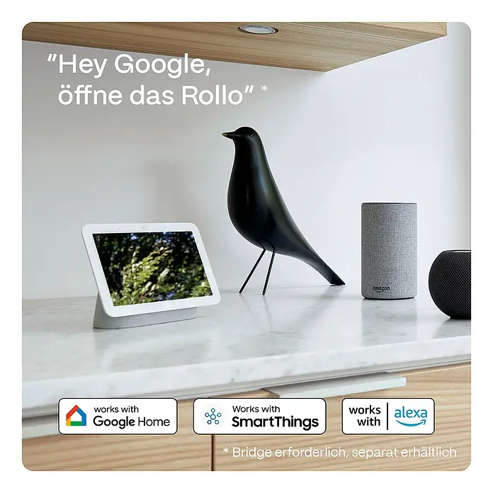 Rollo Elektrisch - B x H: 80 x 190 cm, Tageslichtdurchlässig, Grau, Uni - Intelligentes Zuhause mit Google Home, SmartThings und Alexa. Sprachsteuerung für Rollläden.