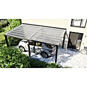 Dachblech Schwallblech Trapezplatte H12 (200 cm x 905 mm x 0,9 mm, Farblos) | BAUHAUS