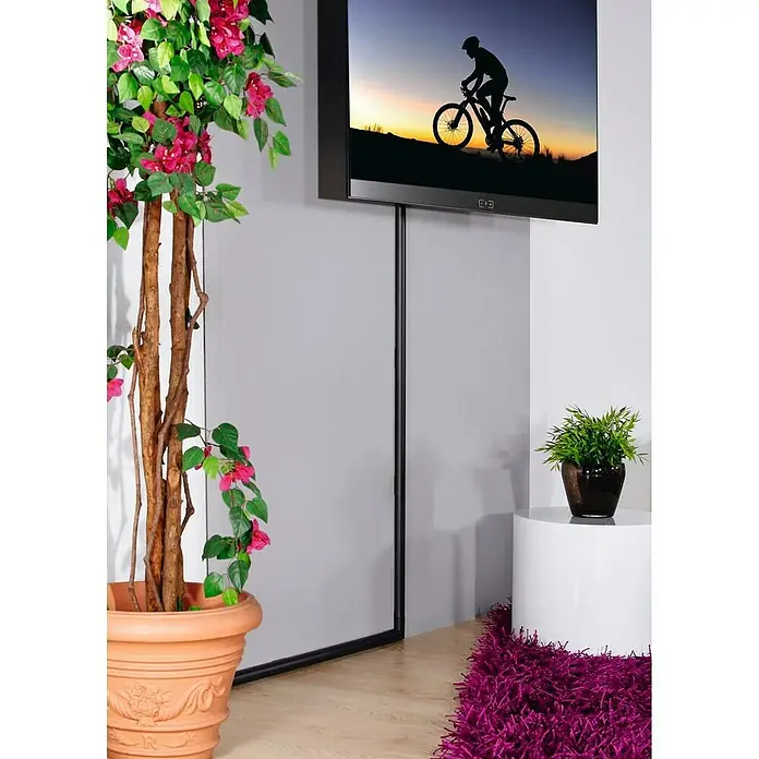 Hama Kabelkanal - 1,1 m x 33 mm x 18 mm, Schwarz - Aufnahme eines montierten Fernsehers mit Kabelkanal und Zimmerpflanzen im Raum.