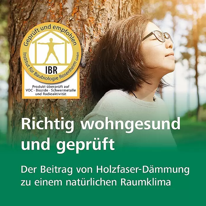Steico Holzfaserplatte ecosilent790 x 590 mm, Stärke: 3 mm, 20 Stk.