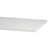 Elfa Sparring by Elfa Regalboden (L x B x H: 90 x 40 x 1,9 cm, Weiß) | BAUHAUS