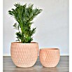 Pflanztopf Cappuccino Terracotta (Naturmaterialien, Whitewash, Ø x H: 44 x 64 cm) | BAUHAUS