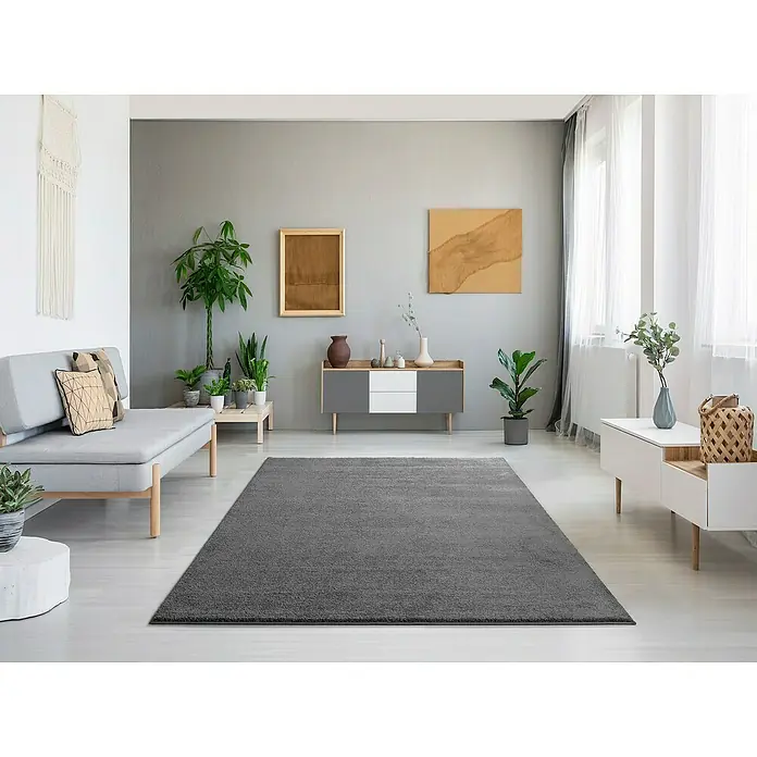 Alfombra de pelo corto Montana - Gris, 120 x 60 cm, 100% Polipropileno - Un salón moderno con una alfombra gris que conecta visualmente el espacio. Muebles elegantes y plantas complementan el ambiente.