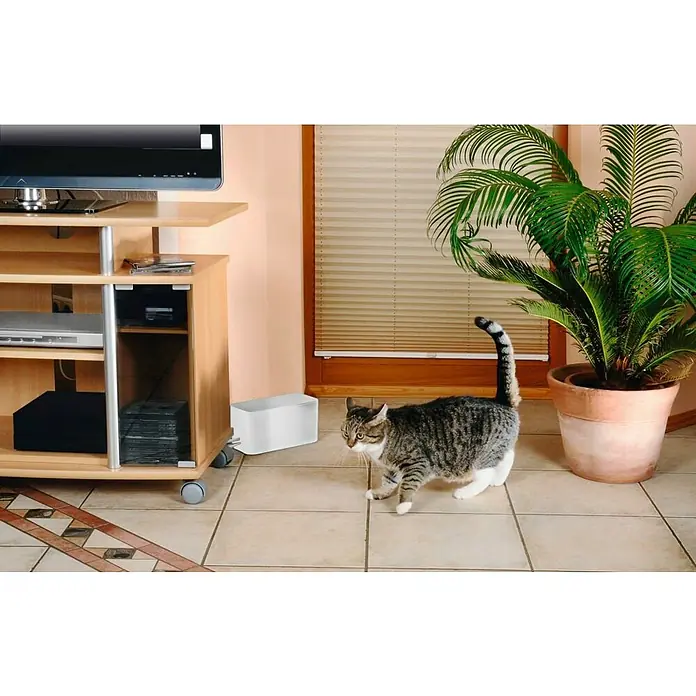 Hama Kabelbox Mini - Weiß - Aufnahme eines Wohnzimmers mit einem Holz-TV-Ständer mit Ablagefächern, einem hellen Blumentopf mit einer Zimmerpflanze und einer grauen Katze.