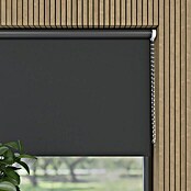 Verdunkelungsrollo Colormatch (B x H: 90 x 190 cm, Anthrazit) | BAUHAUS