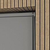 Verdunkelungsrollo Mini Colormatch (B x H: 90 x 220 cm, Grau) | BAUHAUS