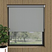 Verdunkelungsrollo Colormatch (B x H: 70 x 190 cm, Grau) | BAUHAUS