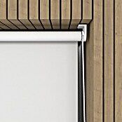 Verdunkelungsrollo Mini Colormatch (B x H: 70 x 150 cm, Weiß) | BAUHAUS