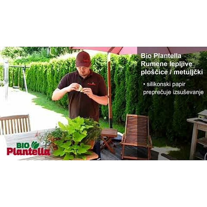 Plantella Rumene nalepke v obliki metulja  (10 kos) | 7531 - Rodentizide | IAHD - Pflanzenschutz | IAH - Dünger / Pflanzenschutz | IA - Gartenhartware | I - Stadtgarten | BAUHAUS