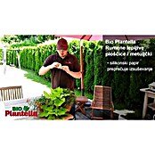 Plantella Rumene nalepke v obliki metulja  (10 kos) | 7531 - Rodentizide | IAHD - Pflanzenschutz | IAH - Dünger / Pflanzenschutz | IA - Gartenhartware | I - Stadtgarten | BAUHAUS