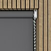 Rollo (B x H: 60 x 190 cm, Anthrazit, Tageslichtdurchlässig) | BAUHAUS