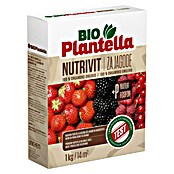 Plantella Gnojilo za jagodičevje Nutrivit  (1 kg, Maksimalna površina pokrivanja: 14 m²) | 7514 - Gartendünger mineralisch | IAHC - Dünger | IAH - Dünger / Pflanzenschutz | IA - Gartenhartware | I - Stadtgarten | BAUHAUS