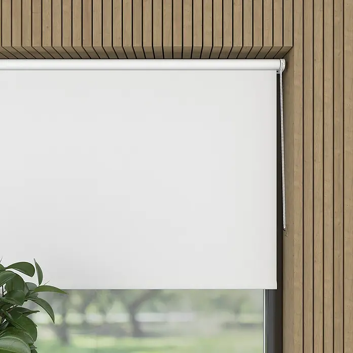Verdunkelungsrollo Mini Colormatch - B x H: 80 x 150 cm, Weiß - Dieses Bild zeigt eine weiße Rollgardine, die an einem Fenster mit Holzrahmen angebracht ist, und einen Teil einer Zimmerpflanze im Vordergrund.