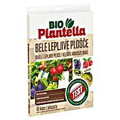 Plantella Past za insekte v obliki lepljivih ploščic  (Bela, 10 kos) | 7533 - Fallen und Tafeln | IAHE - Pflanzenschutz bio-mechanisch | IAH - Dünger / Pflanzenschutz | IA - Gartenhartware | I - Stadtgarten | BAUHAUS
