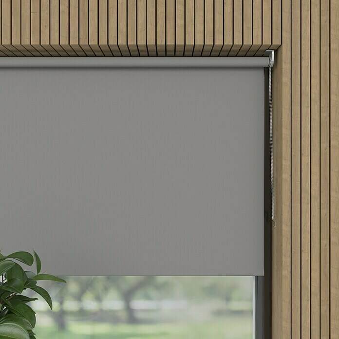 Verdunkelungsrollo Mini Colormatch (B x H: 70 x 150 cm, Grau) | BAUHAUS