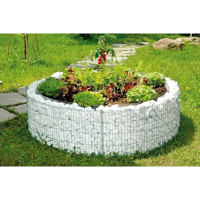 Bellissa Hochbeet Bausatz - 126 x 40 cm, Metall - Ein erhöhter runder Garten mit Gabionenmauer, gefüllt mit weißen Steinen, bepflanzt mit Gemüse in einem grünen Garten.