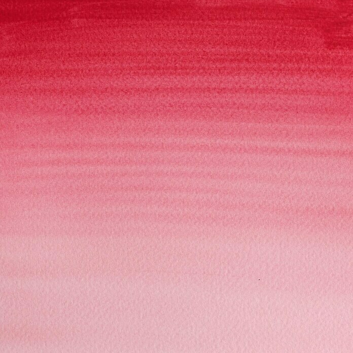 Winsor & Newton Cotman AquarellfarbeKrapprosa, Topf Detail Shot