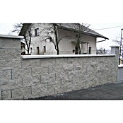 Zobec Zidak  (40 x 20 x 19 cm, Grafit) | 5698 - Mauersysteme/Abdeckplatten/Balus | FAEA - Gartenbaustoffe | FAE - Gartenbaustoffe | FA - Baustoffe | F - Baustoffe | BAUHAUS