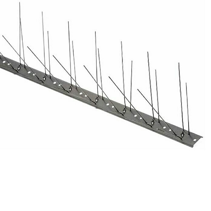 Zaščita pred pticami ravna  (Jeklo, 96 x 2,6 cm) | 7533 - Fallen und Tafeln | IAHE - Pflanzenschutz bio-mechanisch | IAH - Dünger / Pflanzenschutz | IA - Gartenhartware | I - Stadtgarten | BAUHAUS