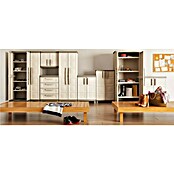 KIS Plastična večnamenska omara Excelence  (97 x 65 x 45 cm, Siva) | 1238 - Schränke KST | AAFC - Schränke | AAF - Regalsysteme | AA - Eisenwaren | A - Eisenwaren | BAUHAUS
