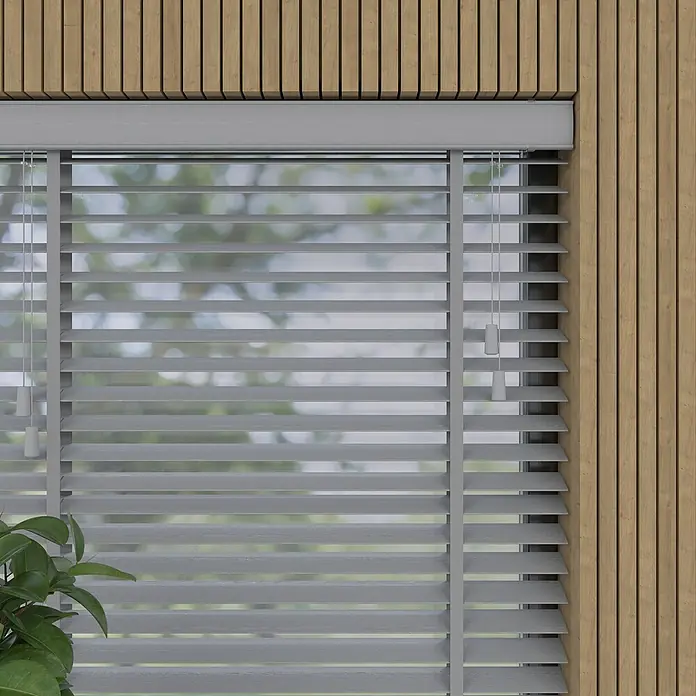 bambus online 2x Bambus Fargesia – dichter Sichtschutz im Garten – Pflanzen online kaufen main image 1