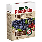 Plantella Gnojilo za grmovnice in žive meje Nutrivit  (1 kg) | 7512 - Gartendünger organisch | IAHC - Dünger | IAH - Dünger / Pflanzenschutz | IA - Gartenhartware | I - Stadtgarten | BAUHAUS