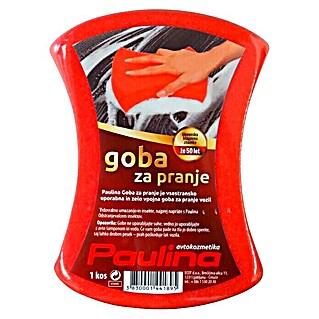Goba za pranje avtomobila Paulina (1 kos)