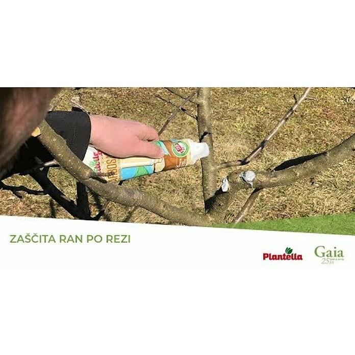 Plantella Popravilna smola Arbosan  (Vse leto, 350 g) | Uničevalci plevela | Sredstva za zaščito rastlin | Gnojila, zemlje in sredstva za zaščito rastlin | Vrt in prosti čas | Izdelki | BAUHAUS